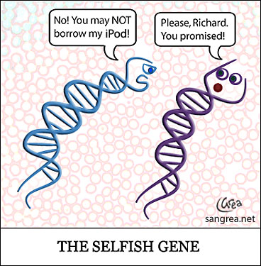 självisk-gen